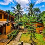 Lodge garden