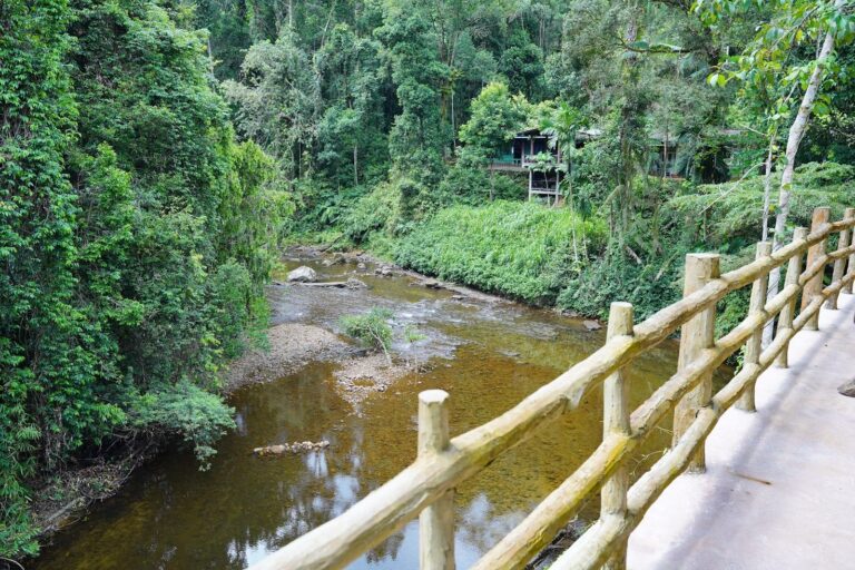 Lodge river deck