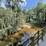 Lodge river view
