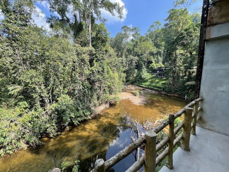 Lodge river view