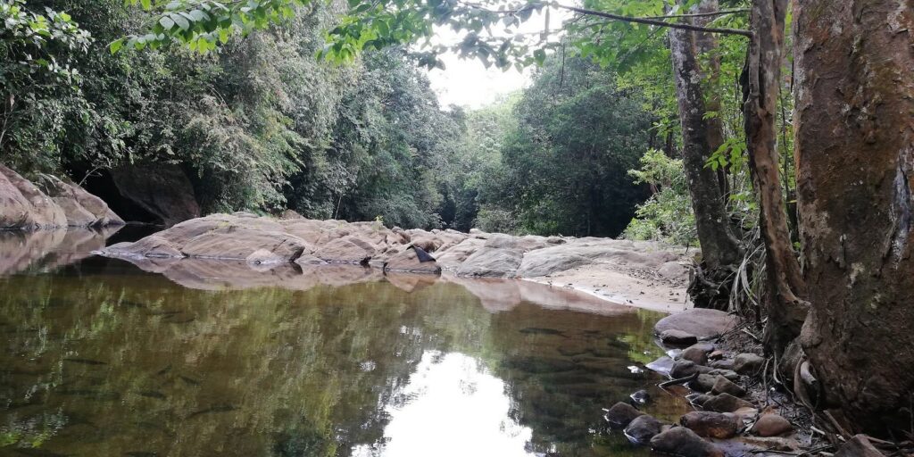 River pool