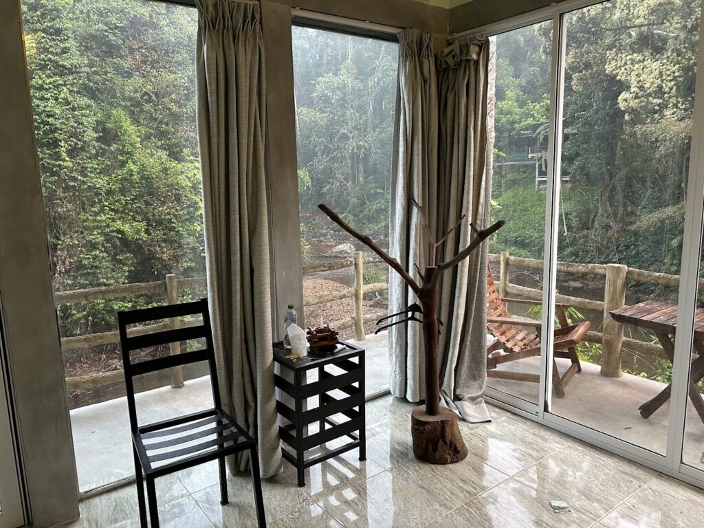 Room forest view