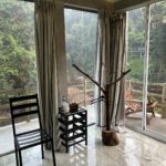 Room forest view