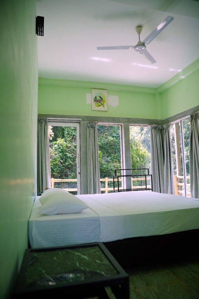 Room green